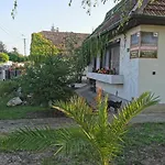 Ambient Thermal Gyula
