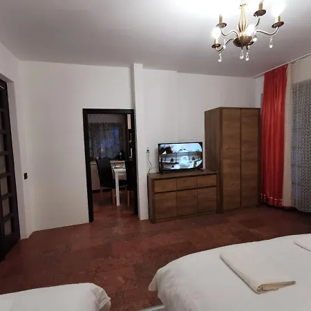 Ambient Deluxe Guest house *