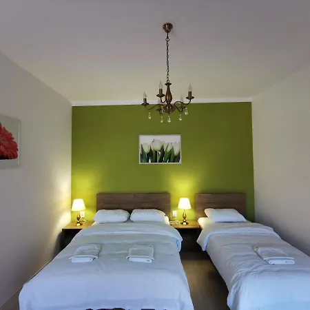 Ambient Deluxe Guest house *