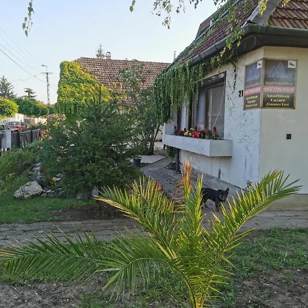 Ambient Thermal Gyula