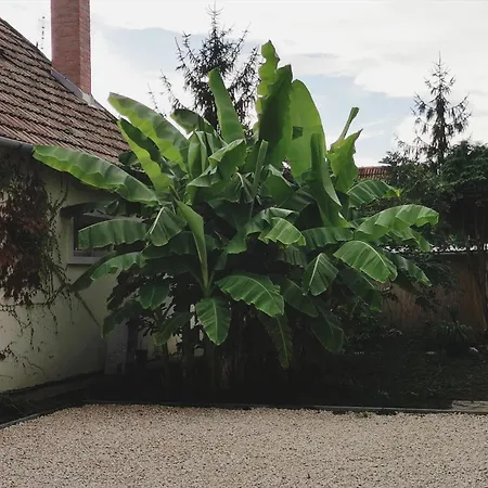 Ambient Deluxe Gyula