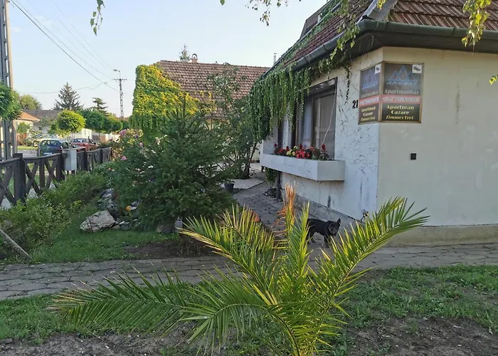 Ambient Thermal Gyula
